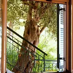 Gorgona 3* Glyfada (Corfu)