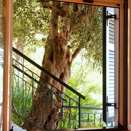 Glyfada Gorgona 3* Glyfada (Corfu)