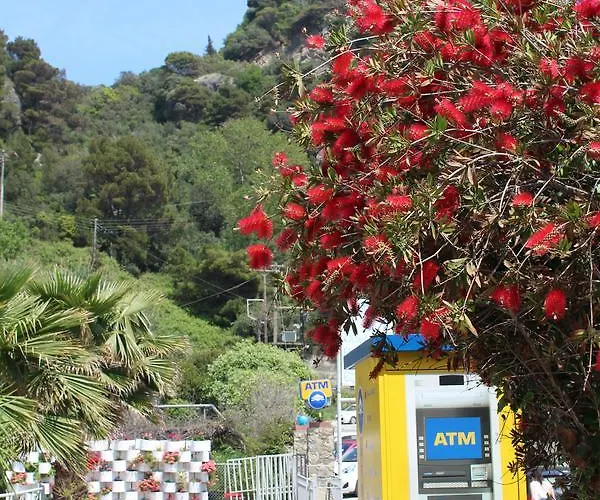 Aparthotel Gorgona 3*