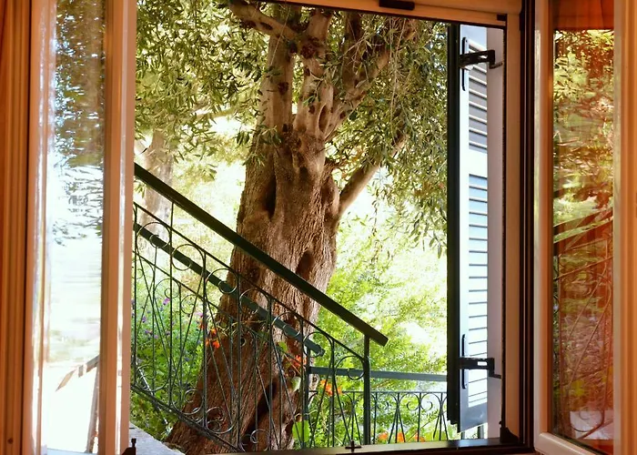 Gorgona 3* غليفادا